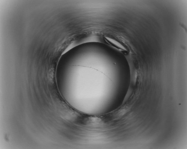 X0000099380509200805151621