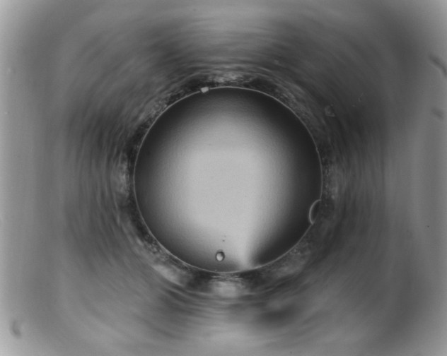 X0000099380510200805151621