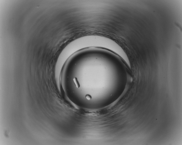 X0000099380511200805151621