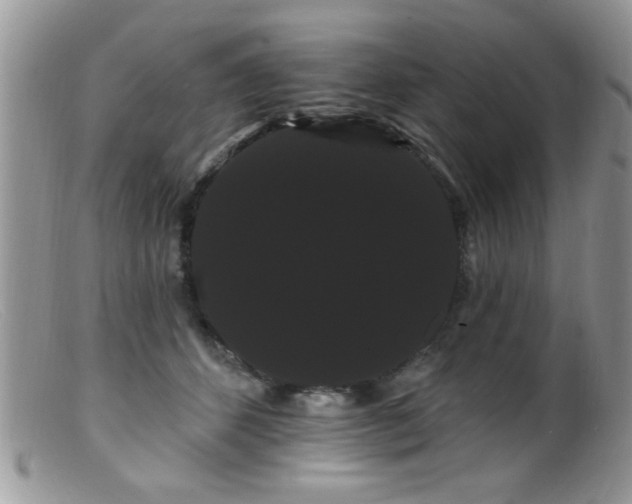 X0000099380512200805151621