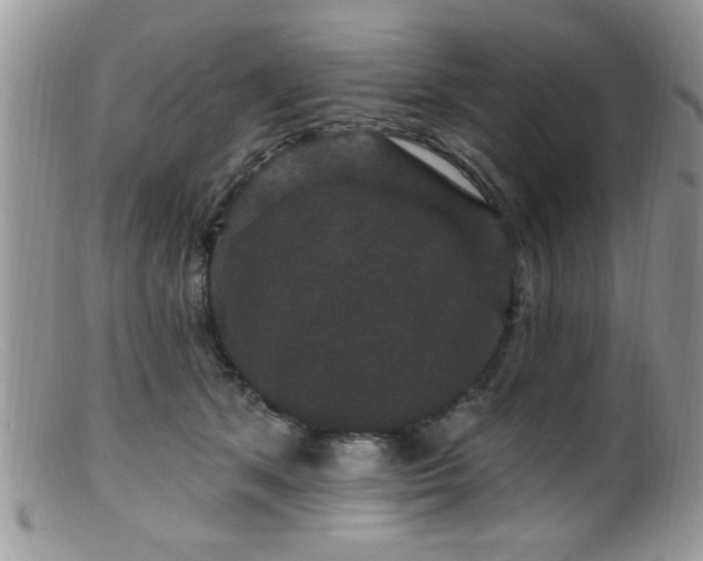 X0000099380513200805151621