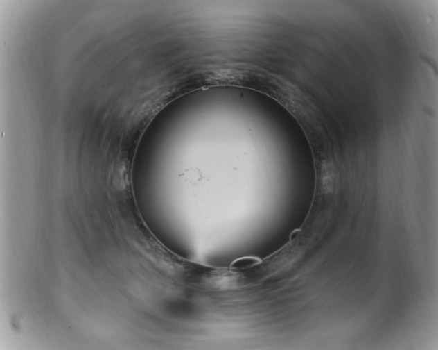 X0000099380514200805151621