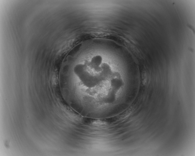 X0000099380515200805151621