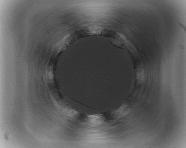 X0000099380516200805151621