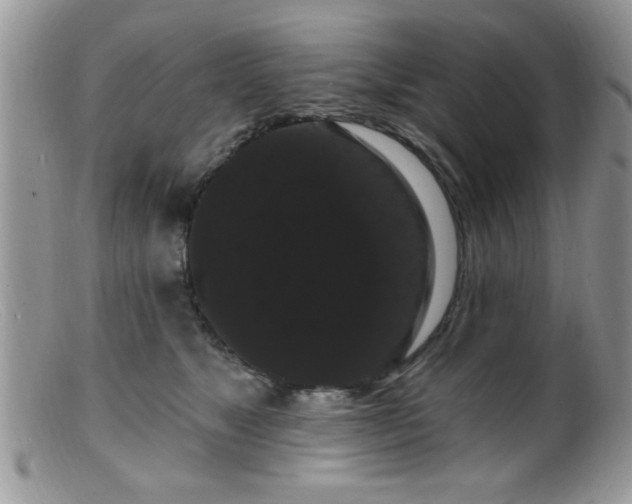 X0000099380517200805151621