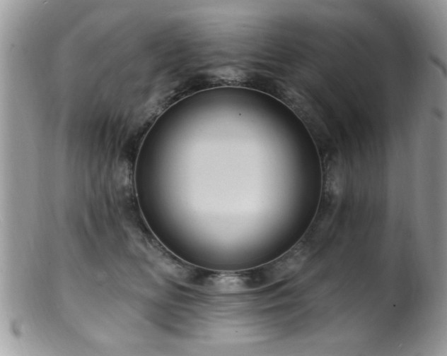 X0000099380518200805151621