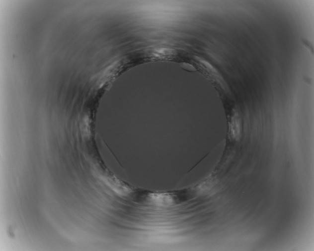 X0000099380520200805151621