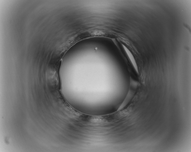 X0000099380521200805151621