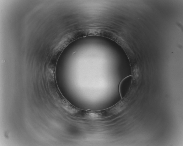 X0000099380522200805151621