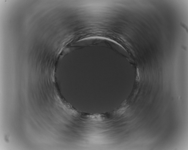 X0000099380524200805151621