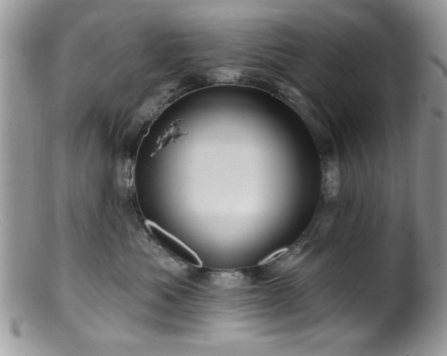 X0000099380525200805151621