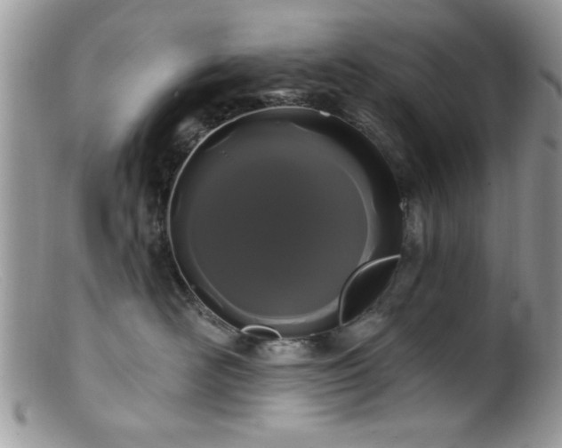 X0000099380526200805151621