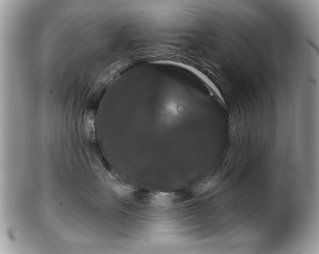 X0000099380527200805151621