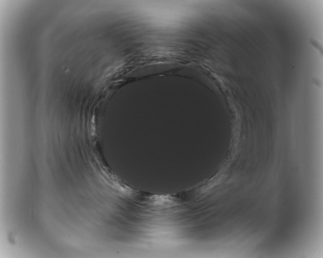 X0000099380528200805151621