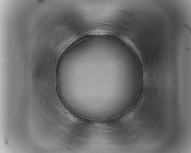 X0000099380529200805151621