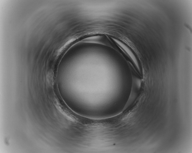 X0000099380530200805151621