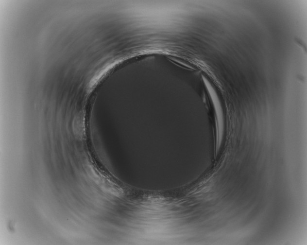 X0000099380531200805151621