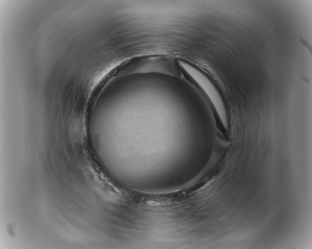 X0000099380532200805151621