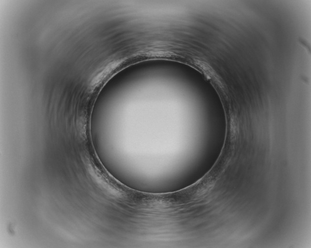 X0000099380533200805151621