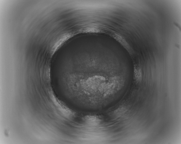 X0000099380534200805151621