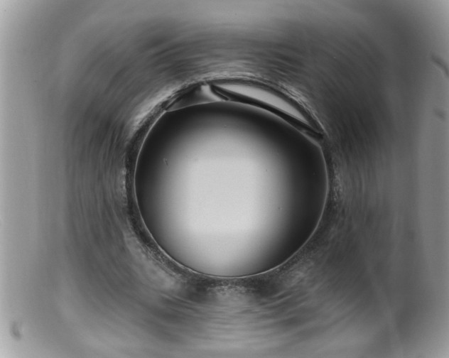 X0000099380535200805151621