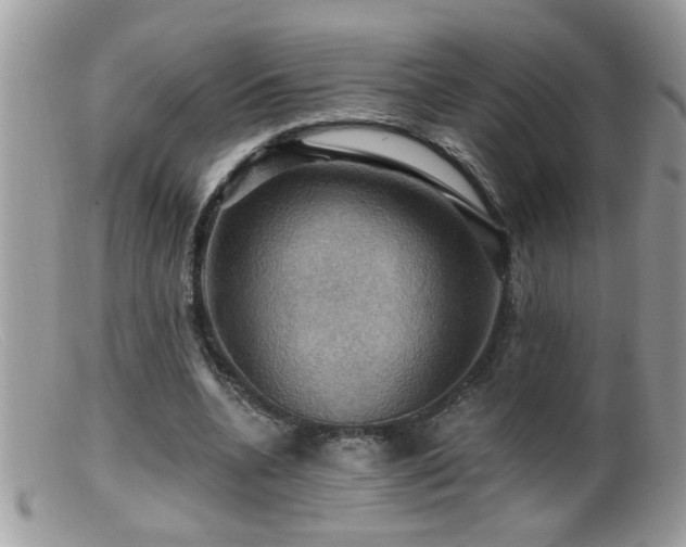 X0000099380536200805151621