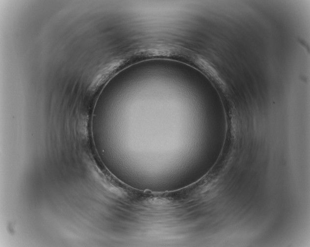 X0000099380537200805151621