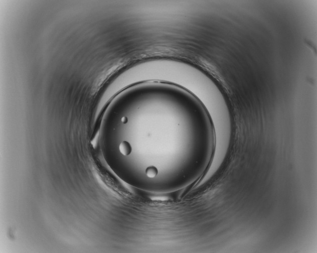 X0000099380538200805151621