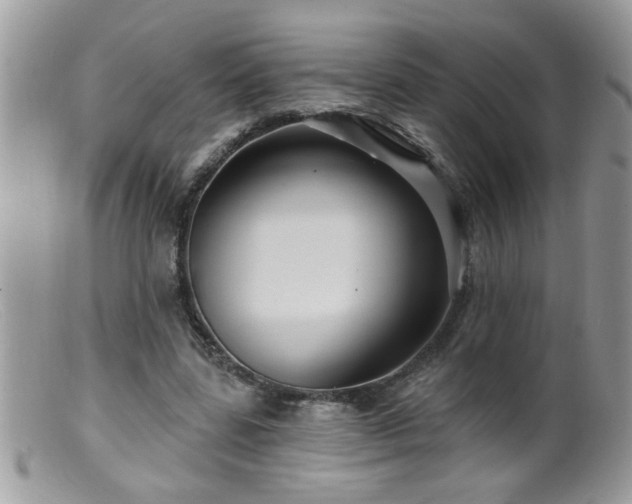 X0000099380539200805151621