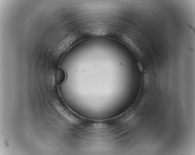 X0000099380541200805151621