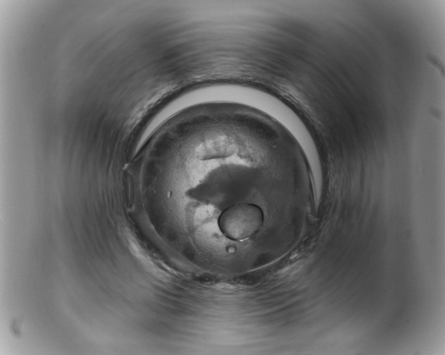 X0000099380542200805151621