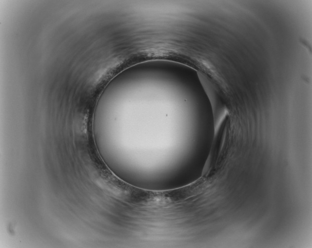 X0000099380543200805151621