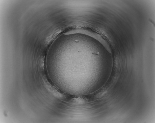 X0000099380545200805151621