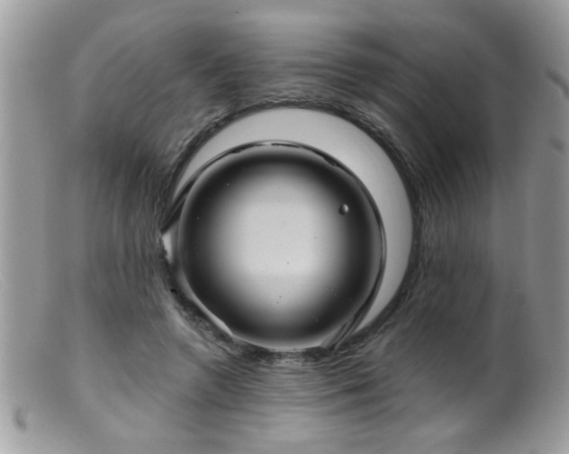 X0000099380546200805151621