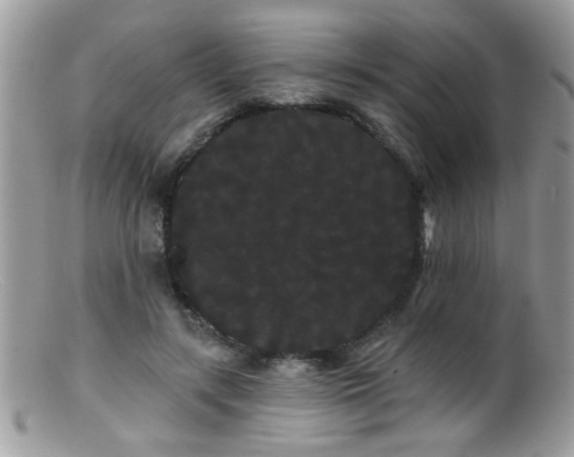 X0000099380547200805151621