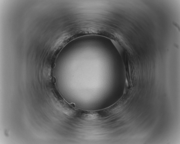 X0000099380548200805151621