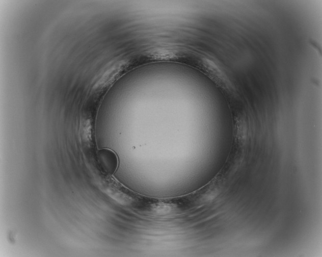 X0000099380549200805151621