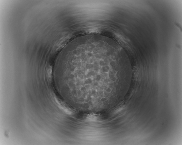 X0000099380550200805151621