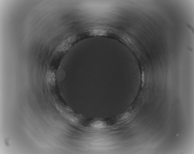 X0000099380551200805151621