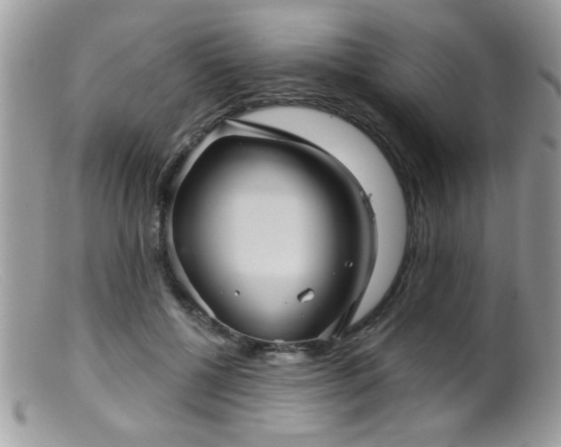 X0000099380552200805151621