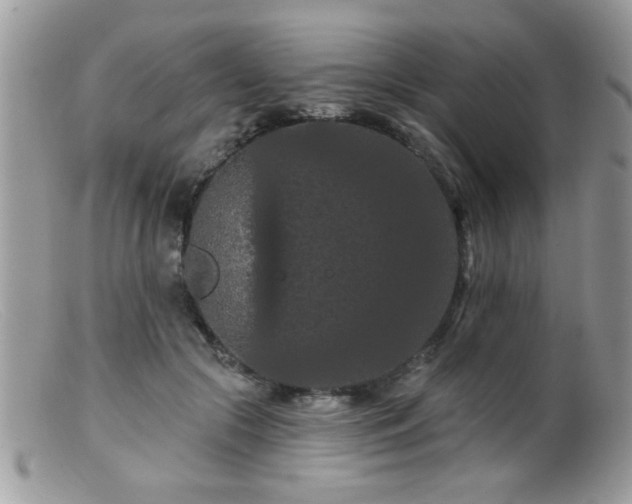 X0000099380553200805151621