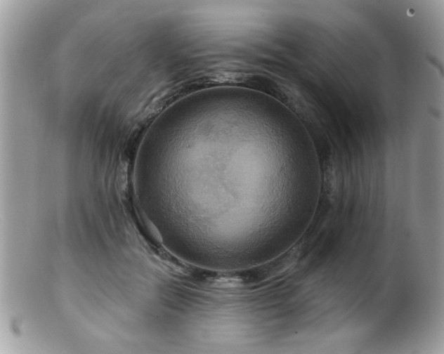 X0000099380554200805151621