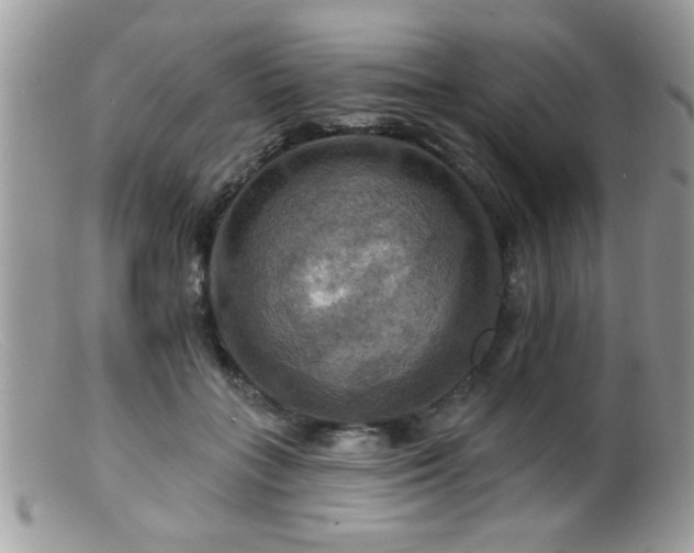 X0000099380555200805151621