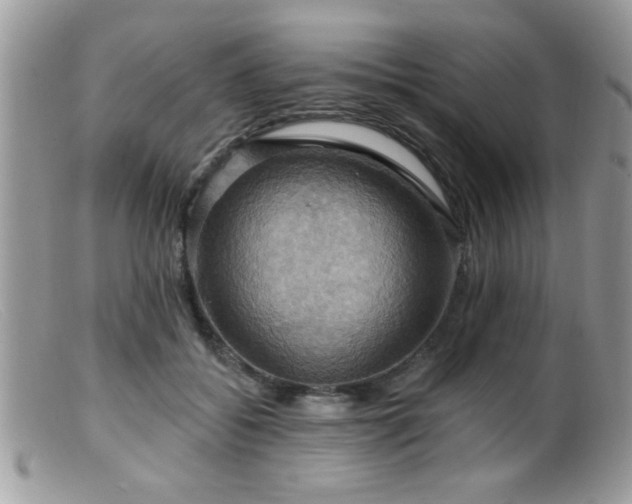 X0000099380556200805151621