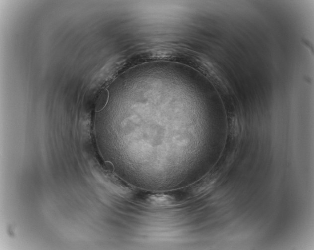 X0000099380557200805151621