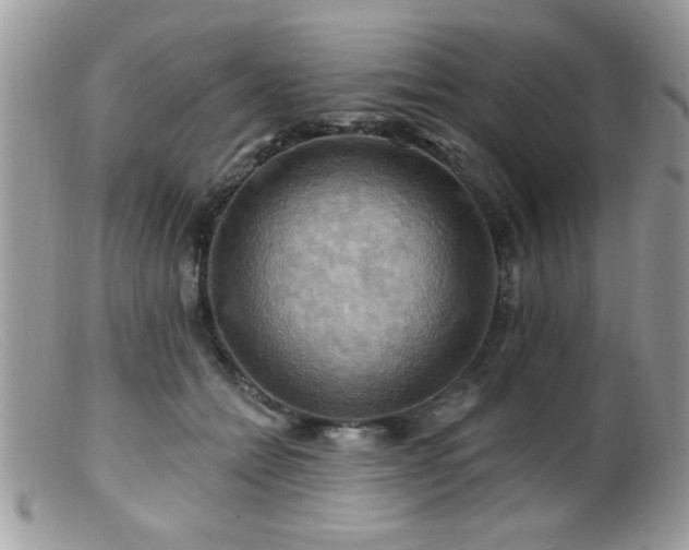 X0000099380558200805151621