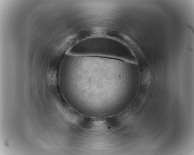 X0000099380560200805151621