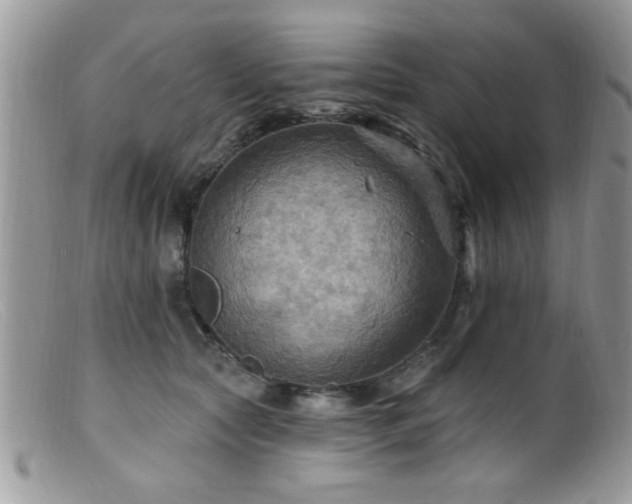 X0000099380561200805151621