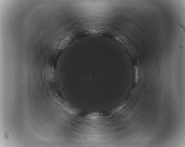 X0000099380563200805151621