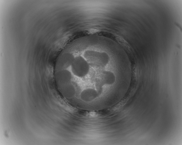 X0000099380565200805151621